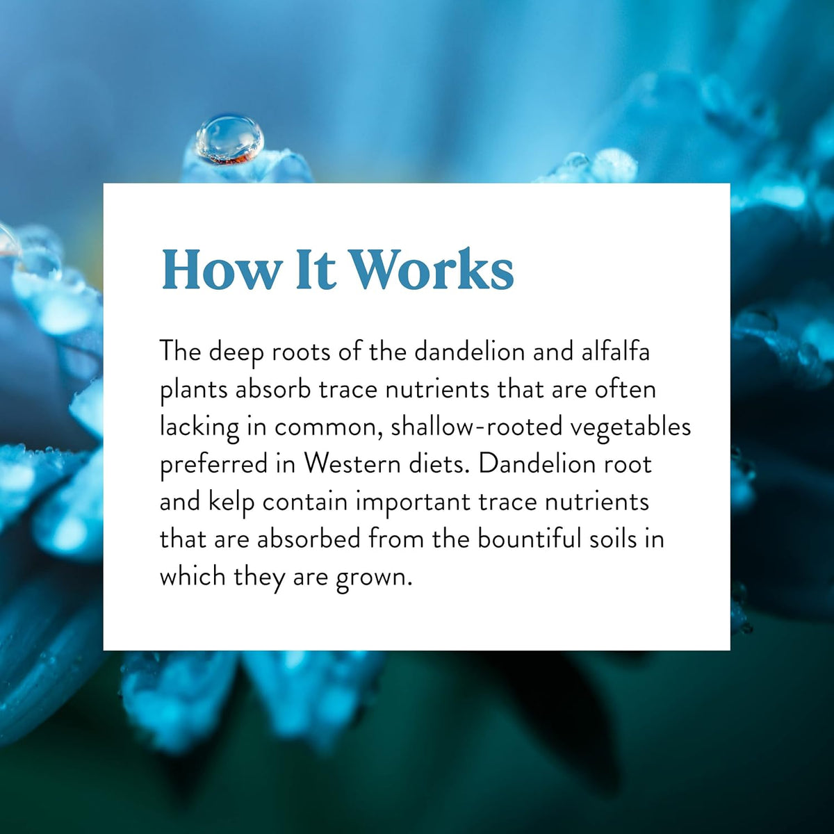 Nature's Sunshine Herbal Trace Minerals - görsel 6