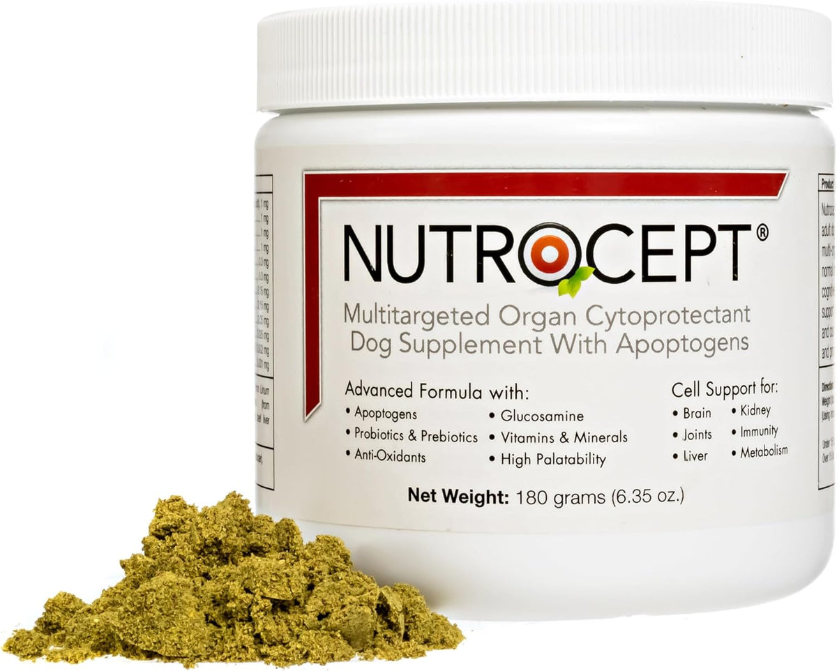 Nutrocept Adult Dog Supplement and Organ – Joint Health: Compounds that may help maintain flexible, comfortable – Image 2