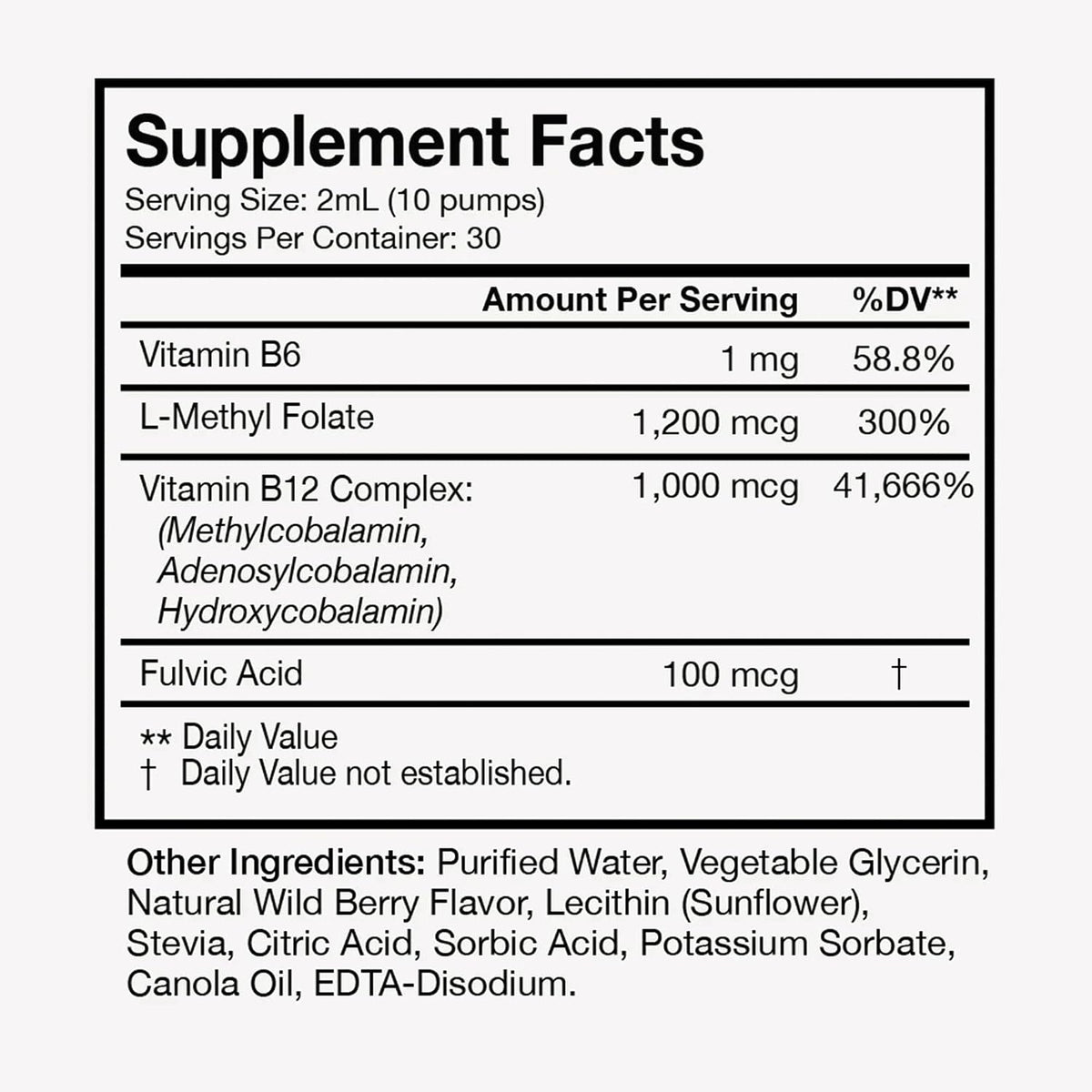 Terra Health Essentials - Liposomal Vitamin B12 | Support for Energy, Mood, Memory & Immune System (30-Day Supply) - görsel 2