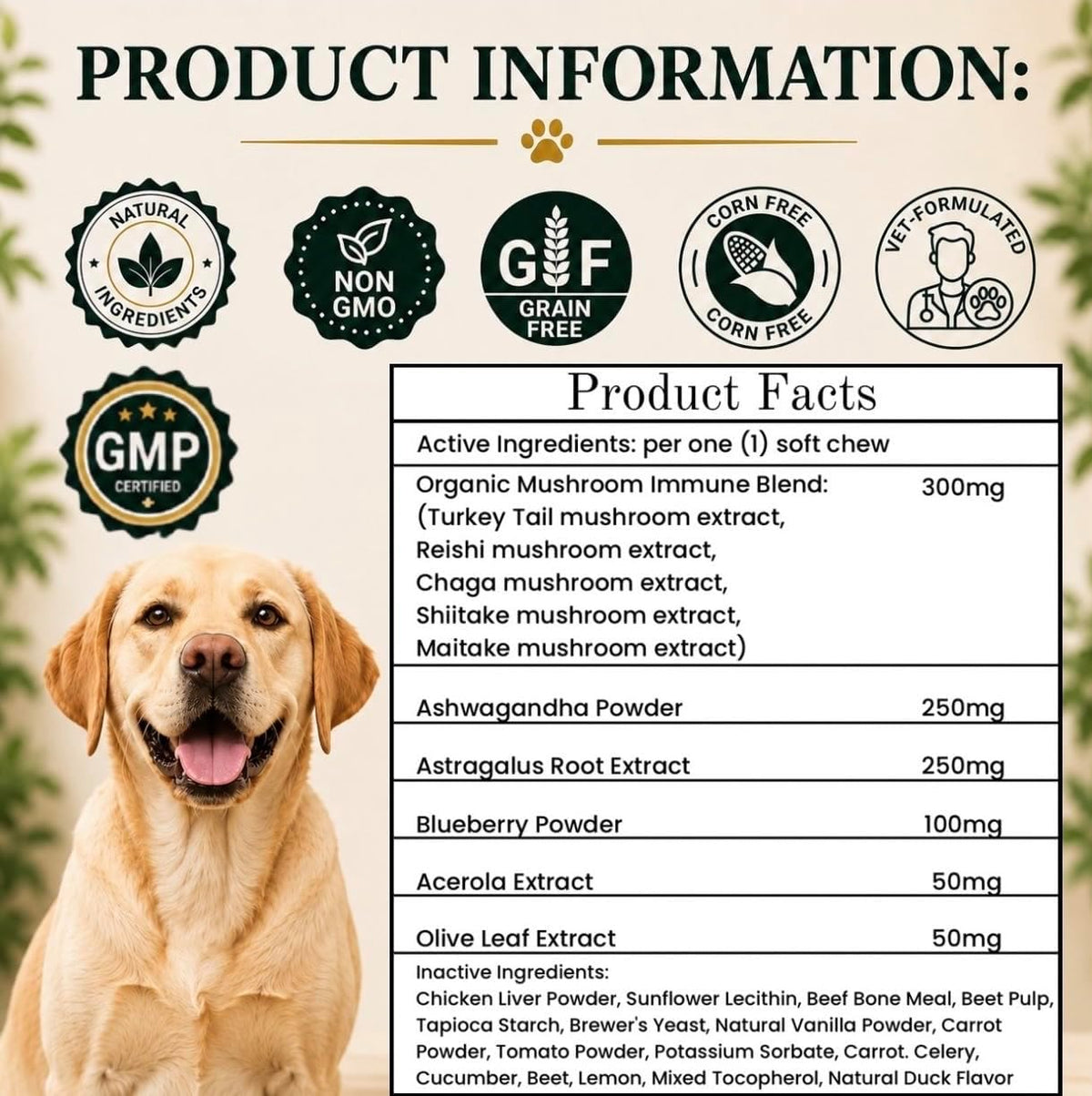 Turkey Tail Mushroom for Dogs – Organic – Antioxidant protection: Blueberry powder, acerola, and olive leaf – Image 4