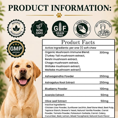 Turkey Tail Mushroom for Dogs – Organic – Antioxidant protection: Blueberry powder, acerola, and olive leaf – Image 4