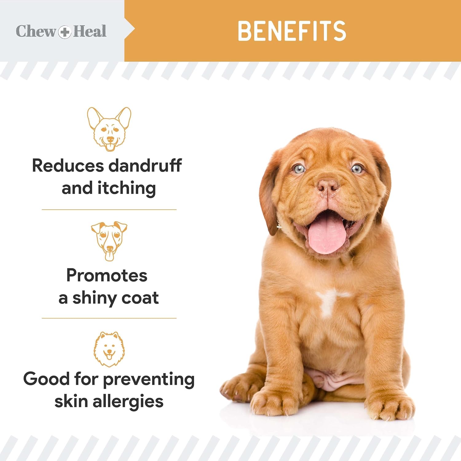 Salmon Oil for Dogs - 60 Soft Chew Omega Treats Skin and Coat Supplement for Dogs - Fish Oil Blend of Fatty Acids, Omega-3 and 6, Vitamins, Antioxidants, Minerals - Made in the USA - görsel 3
