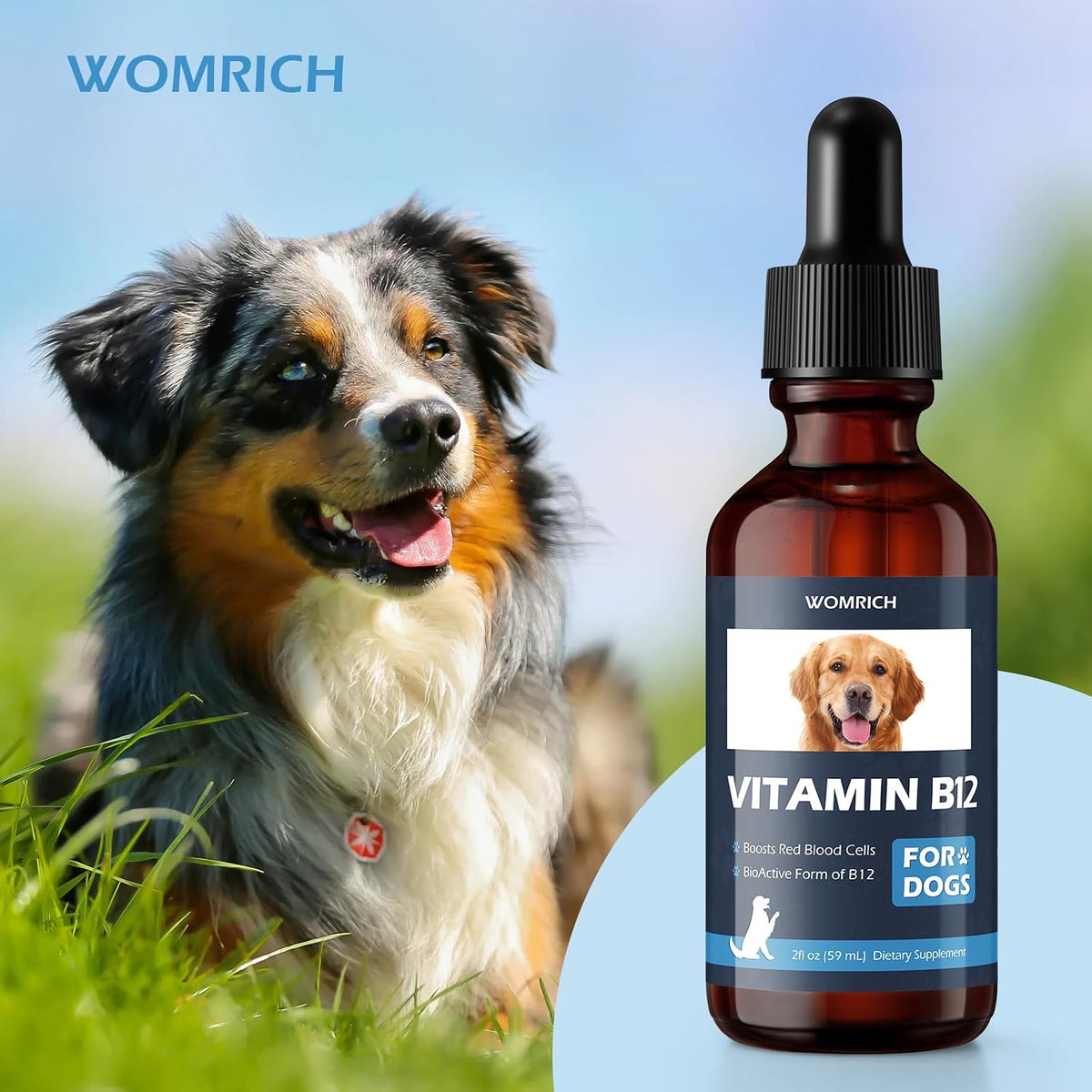 Appetite Stimulant Vitamin B12 for Dogs | Methylcobalamin (Methyl B12) | Supports Red Blood Cell Formation, Energy, Nervous System | 60 ml - görsel 6