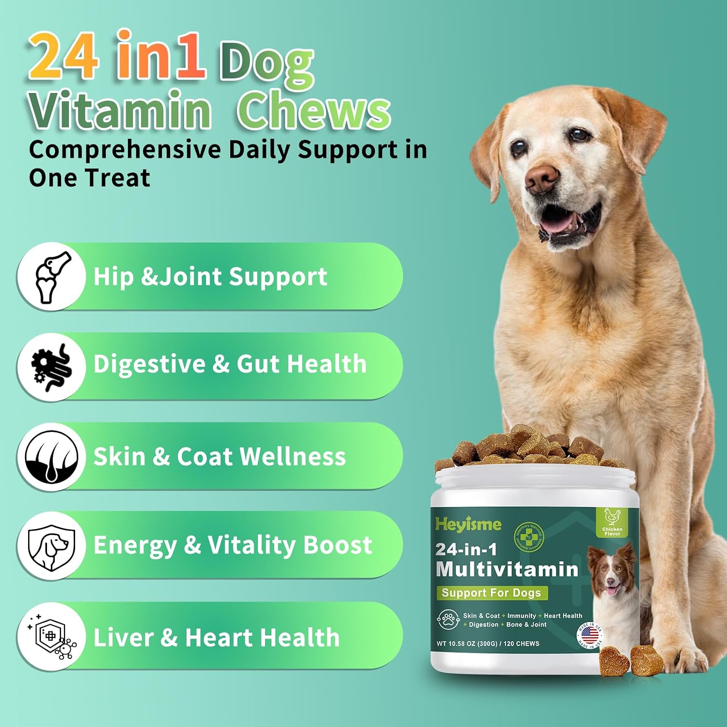 HEYISME Dog Multivitamin with Glucosamine, Probiotics & Omega-3 (120 Chews, Chicken) - görsel 3