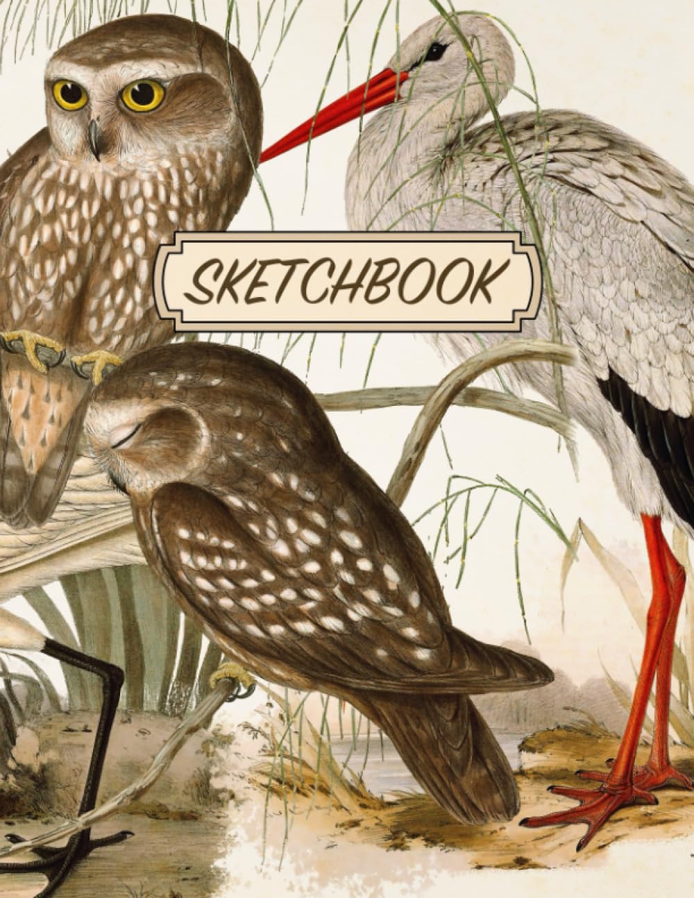 Bird Sketchbook: Aesthetic Doodles & Drawings Notebook | Vintage Wild Birds Illustrated Cover | Drawing Pad | Large Journal with Blank Pages for Drawing, Sketching, Journalling, and Doodling - görsel 1
