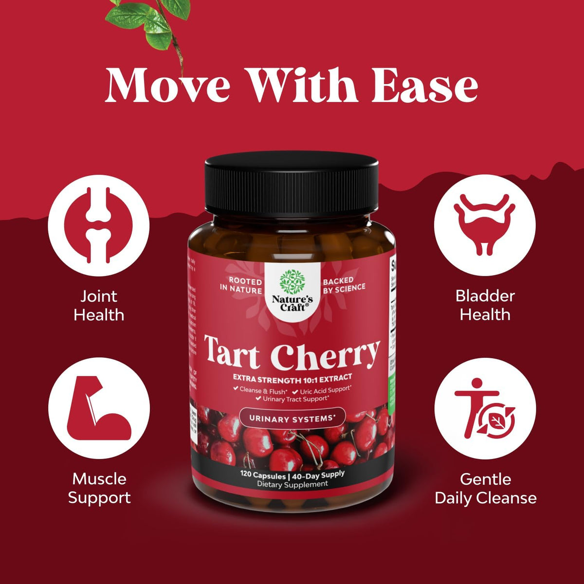 Extra Strength Tart Cherry Capsules - Tart Cherry Extract for Uric Acid and Kidney Support - Fruit Extract Supplement for Urinary Tract Health & Joint Care - 120 Capsules - görsel 2
