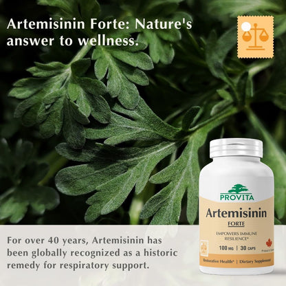 PROVITA Artemisinin Pro – Sweet Wormwood Capsules, Immune Support Food Supplement