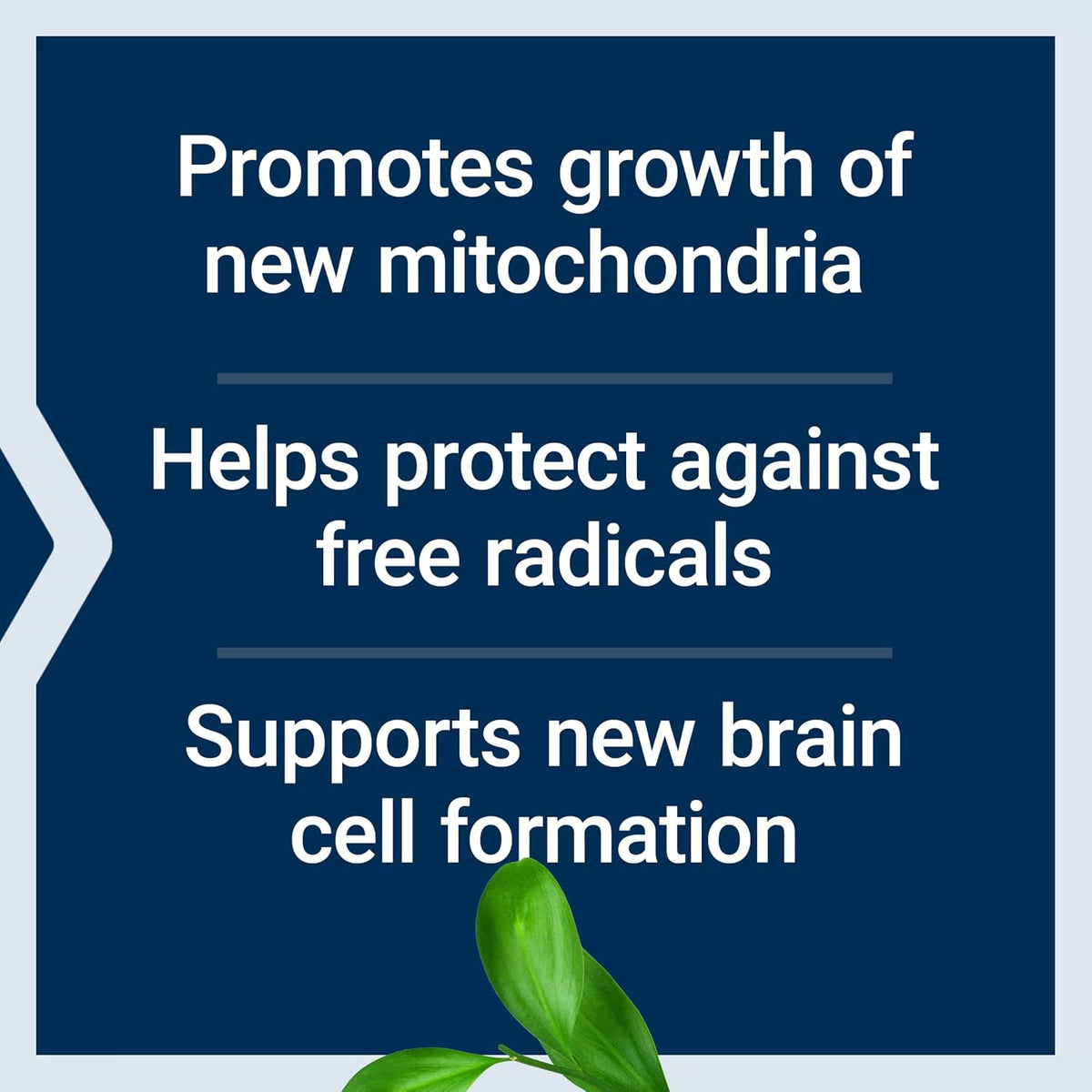 Life Extension Mitochondrial Basics with PQQ, L-Taurine, R-Lipoic Acid, 30 Capsules - görsel 4
