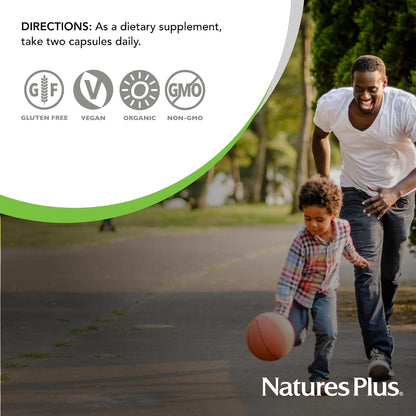 NaturesPlus Source of Life Garden Vitamin D3 - 5000 IU, 60 Vegan Capsules