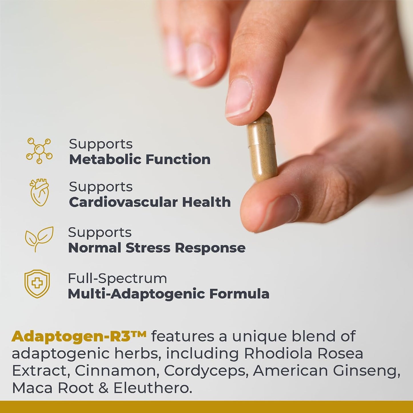 Premier Research Labs Adaptogen-R3 Supplement - Rhodiola Rosea with Maca Root - Adaptogen Complex for Stress Support - 90 Vegetarian Capsules - görsel 4