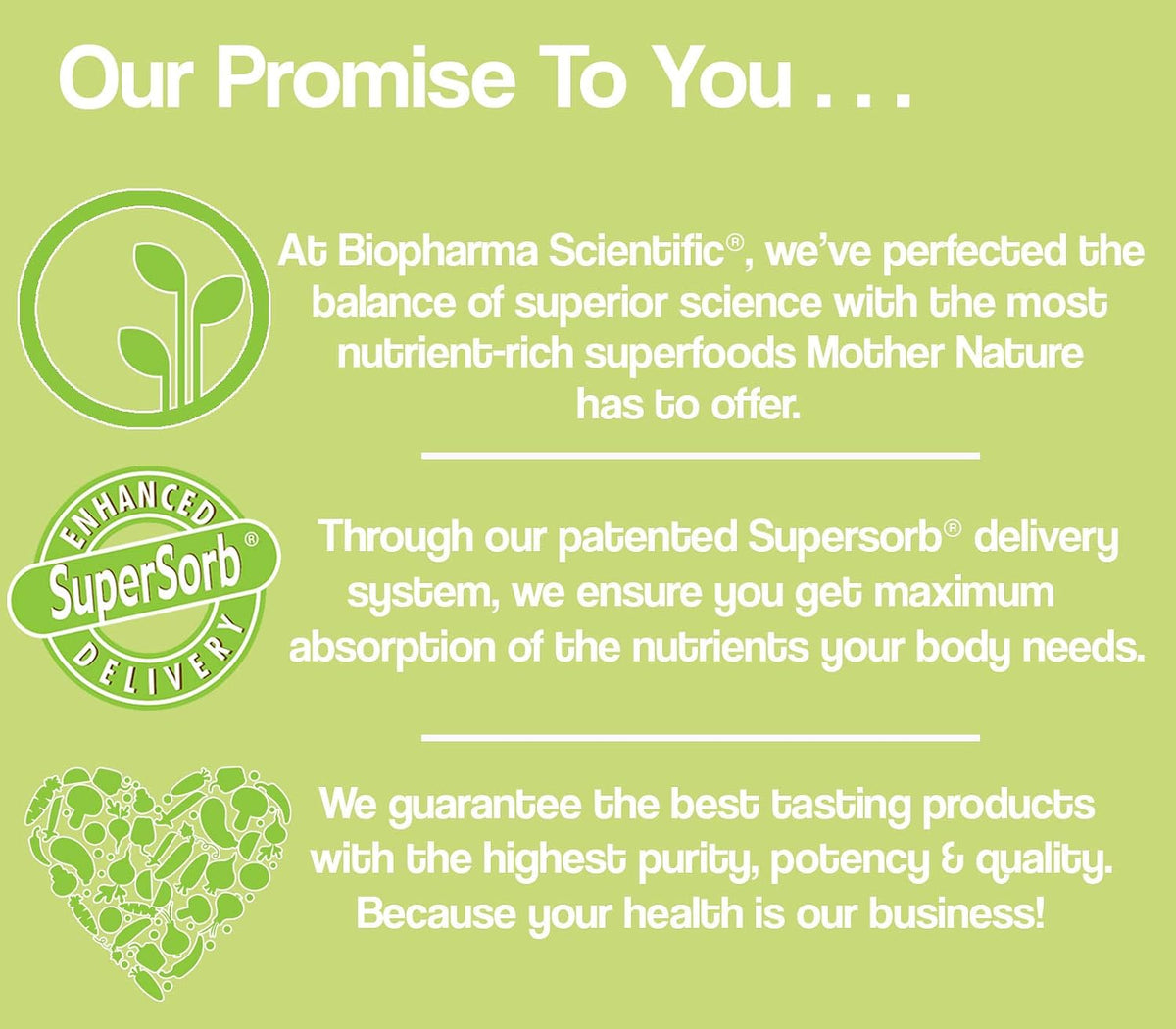 Biopharma Scientific NanoNeuro - Brain Support with NAC 600mg & L-Theanine 200mg, 30 Capsules - görsel 5