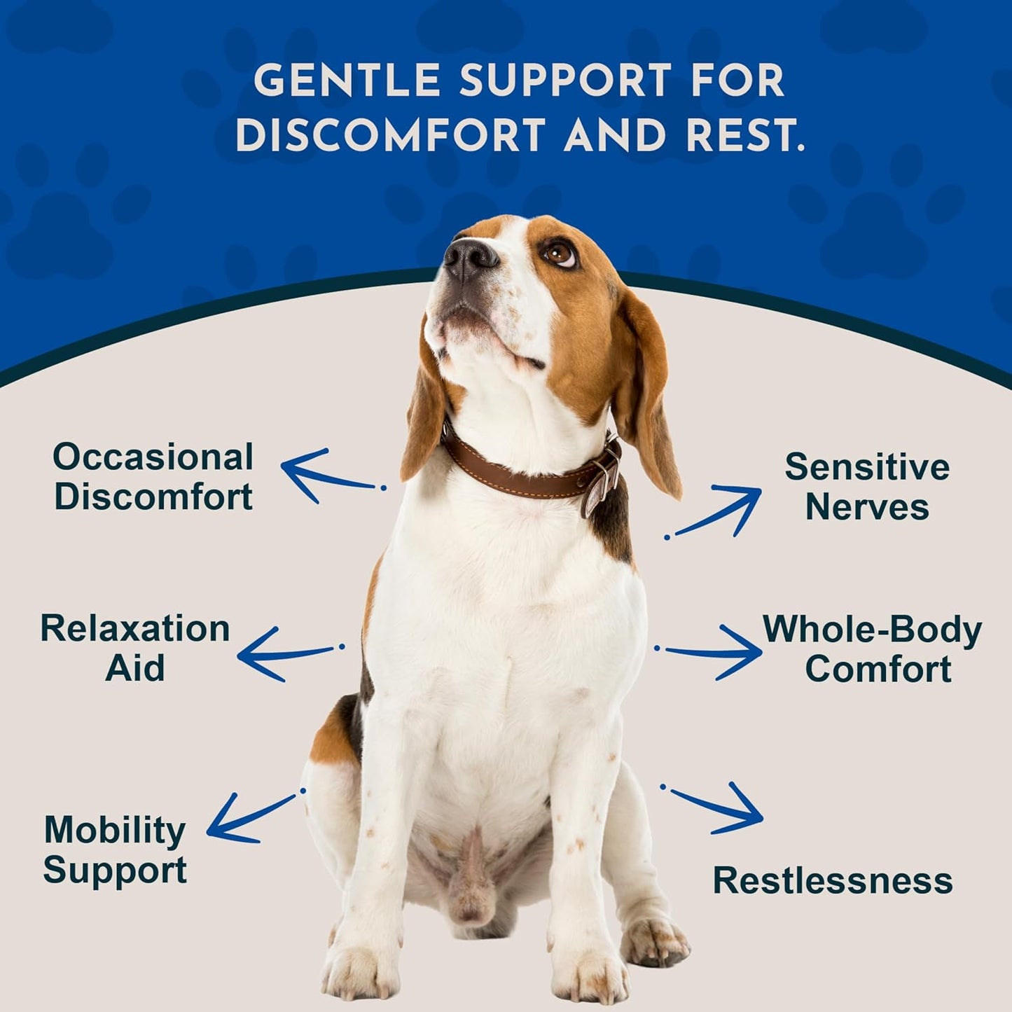 Comfort Plus Herbal Formula for Dogs & Cats, 60 ml - görsel 2