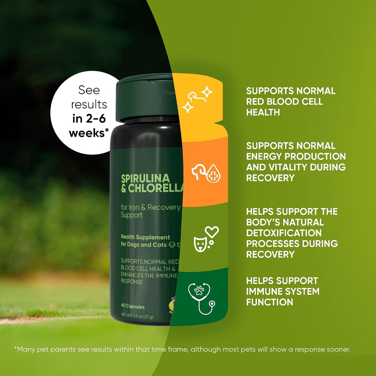 Rooted Owl® Blood Support for Dogs & Cats with Spirulina & Chlorella - görsel 3