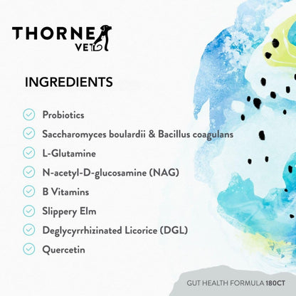 ThorneVET Gut Health Formula – – Probiotics (Saccharomyces boulardii and Bacillus coagulans): These beneficial – Image 5