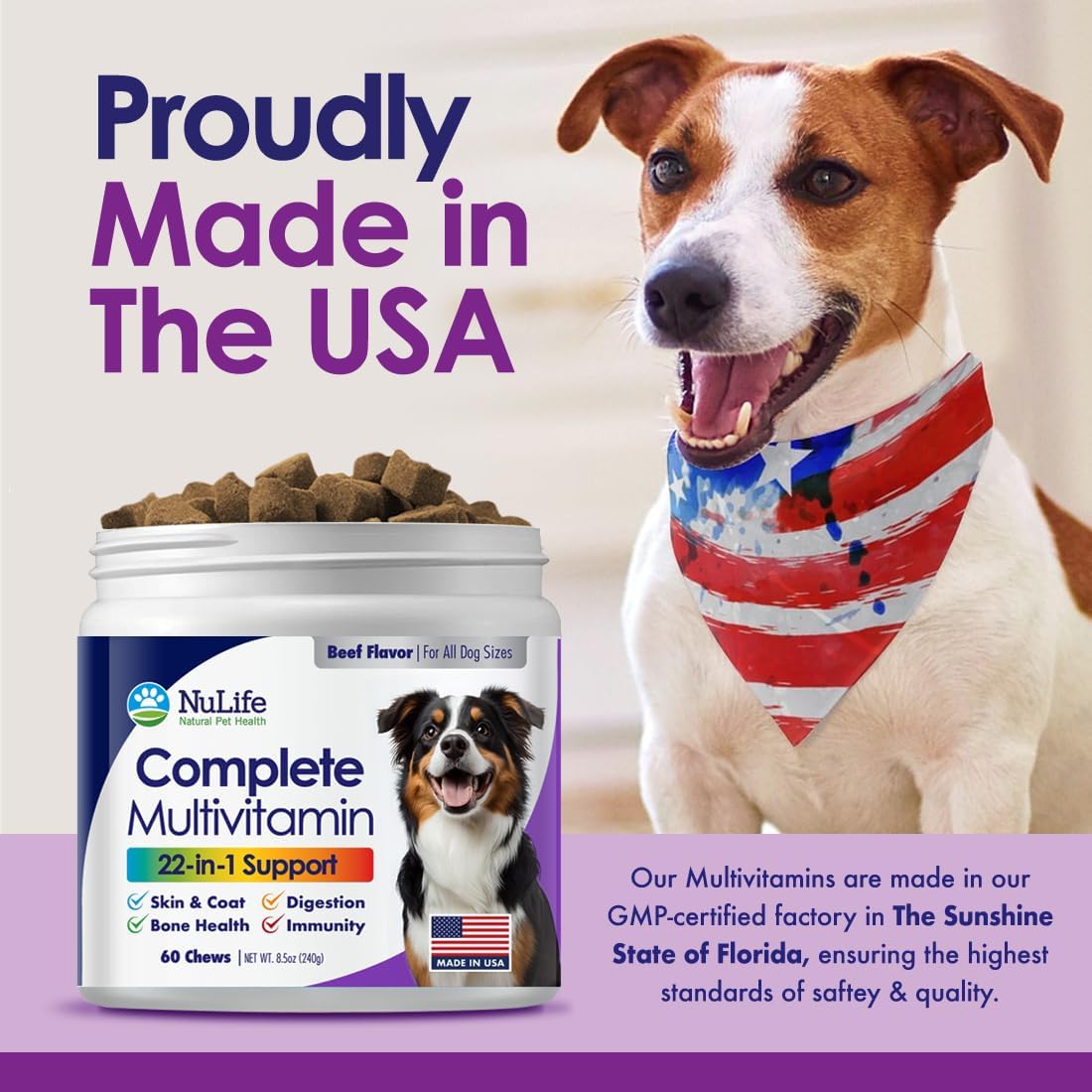 NuLife Natural Pet Health Dog Multivitamin Chewable - 22-in-1 with Green Lipped Mussel & Omega-3 - 60 Beef Chews - görsel 7