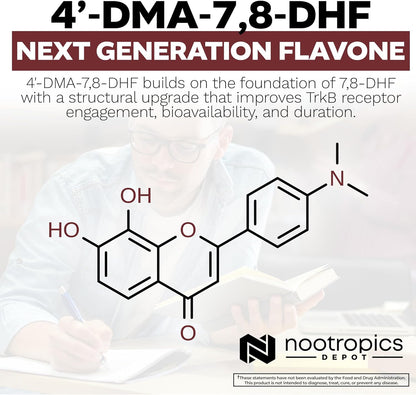 Nootropics Depot 4'-DMA-7,8-DHF 10mg Capsules (30 Count)