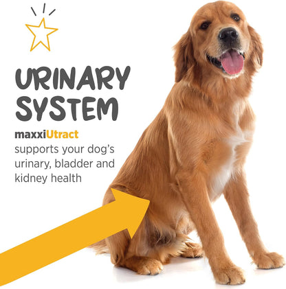 maxxiUtract Urinary and Bladder Support for Dogs – D-Mannose and Cranberry Powder