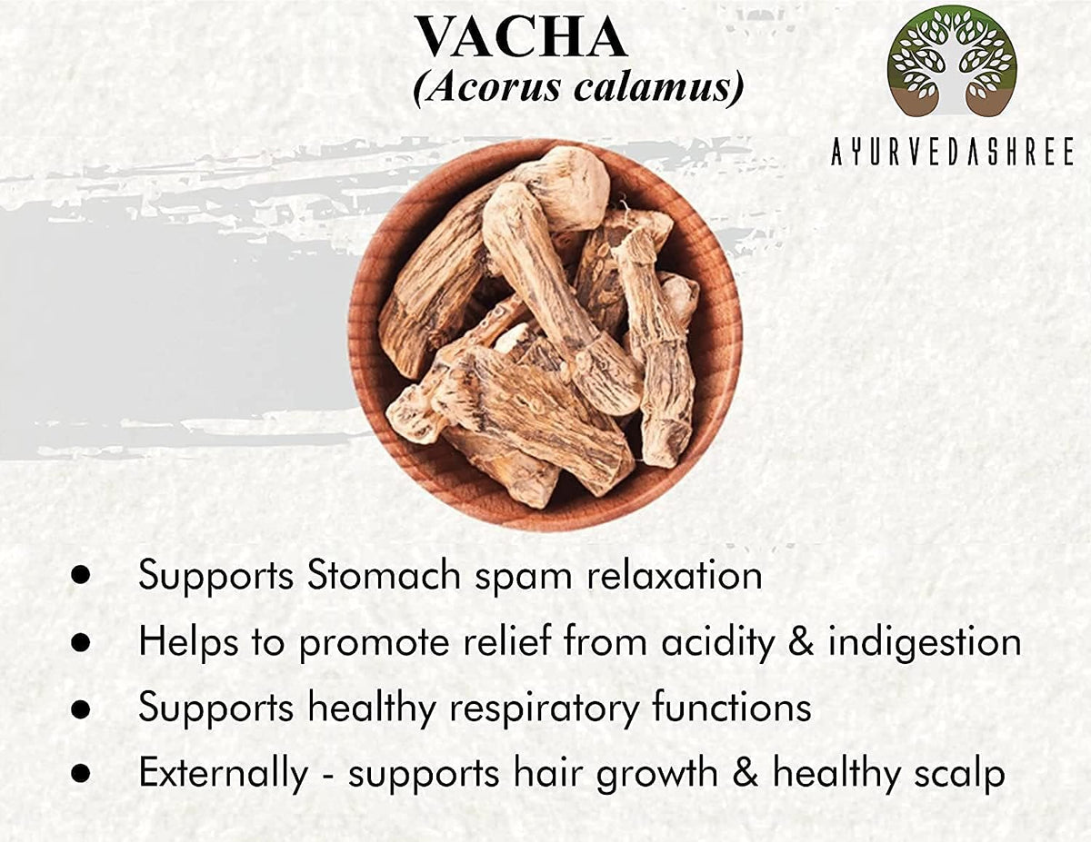 Calamus Powder 100g | Vacha Powder | Acorus Calamus | Highly Aromatic Herb | Acorus Calamus Root Powder | Vasambu - görsel 2