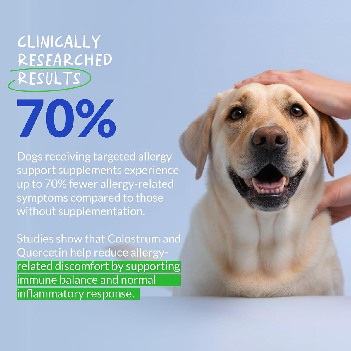 Coco and Luna Allergy Relief for Dogs - 120 Chewable Tablets - görsel 3
