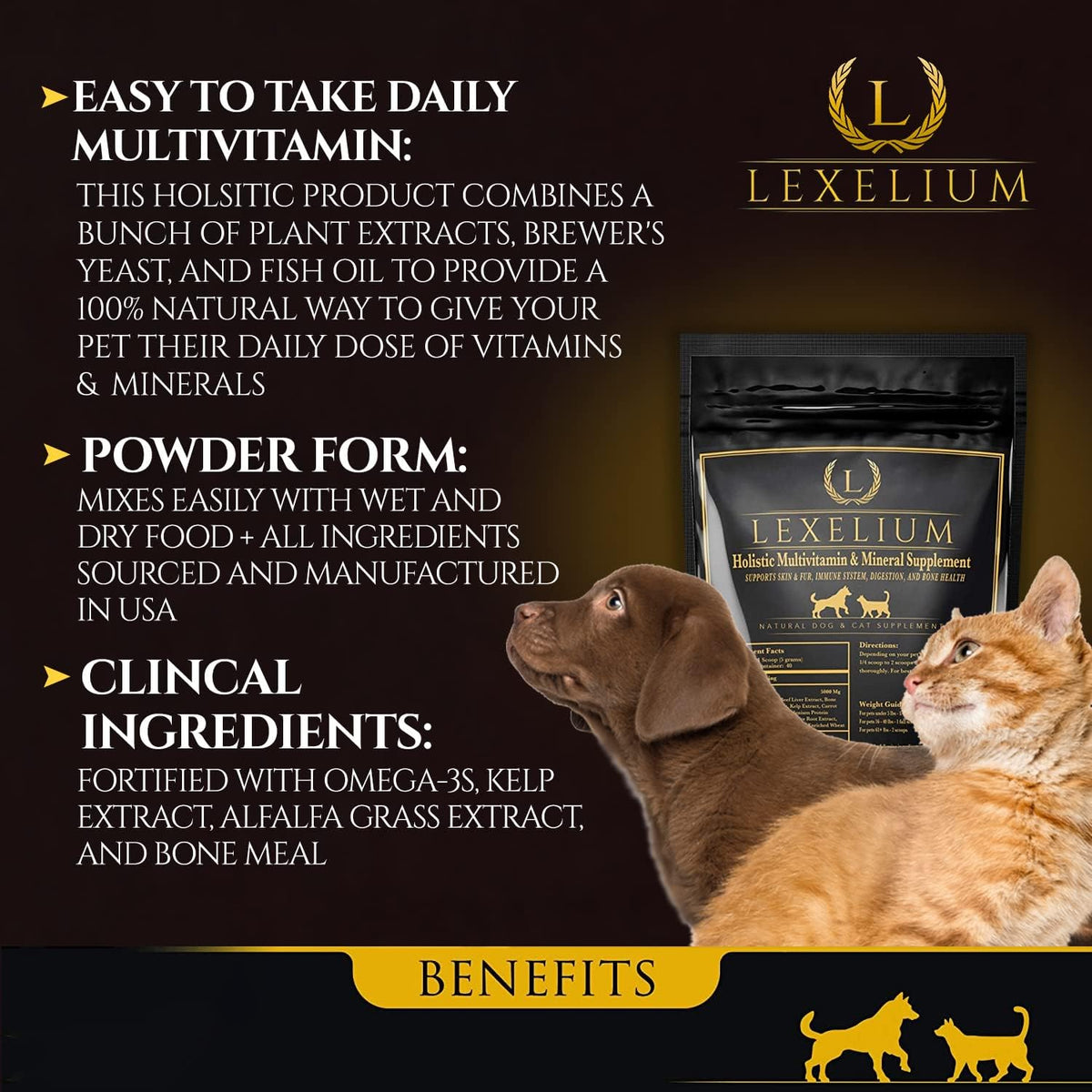 Holistic Multivitamin Supplement for Dogs and Cats – Complete 12-in-1 Plant-Based Vitamins and Minerals with Omega-3 Fish Oil – 200g Powder - görsel 3