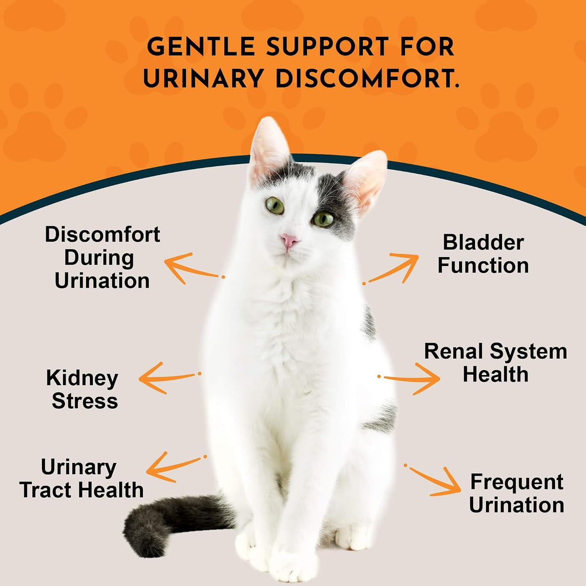 Animal Essentials Tinkle Tonic - Dog and Cat Urinary Tract Support, Kidney Supplement, Supports Urinary Tract, Bladder Health for Pets, with Marshmallow - 1 fl oz (29.5 ml) - görsel 2