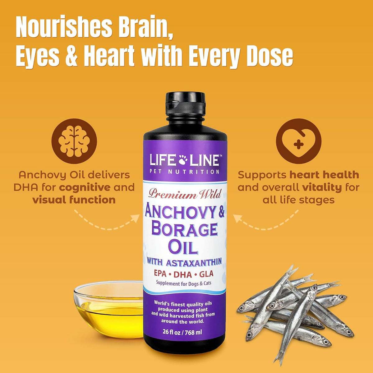 Lifeline Wild Anchovy & Borage Oil for Dogs | Omega-6 GLA Supplement for Skin Health, Allergies & Coat | Reduces Shedding, Itching & Inflammation – 770 ml - görsel 3