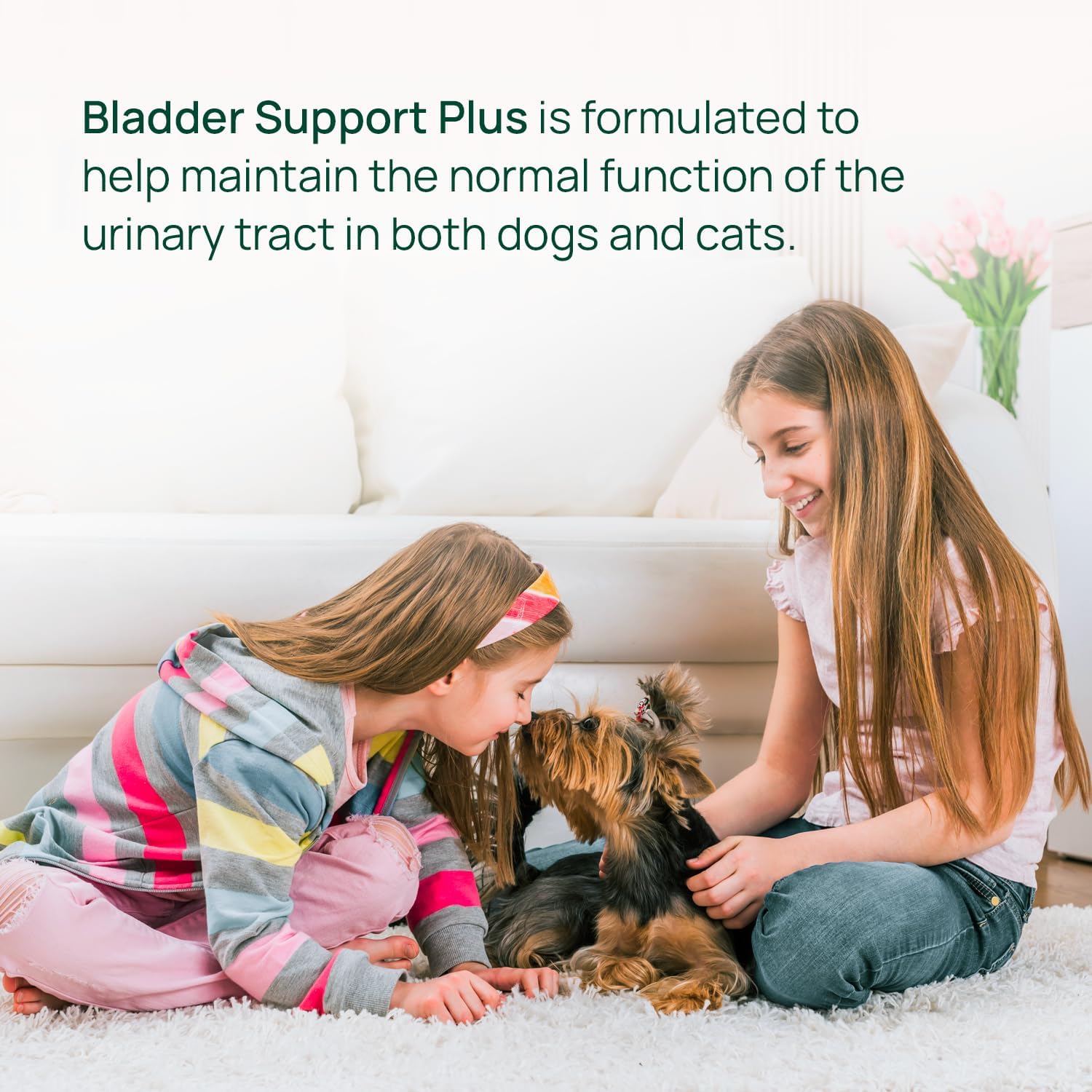 pawTree Bladder Support Plus - Bladder & Urinary Tract Wellness Supplement for Dogs and Cats - with D-Mannose, Cranberry, Glucosamine and Marshmallow Root (Large) - görsel 4