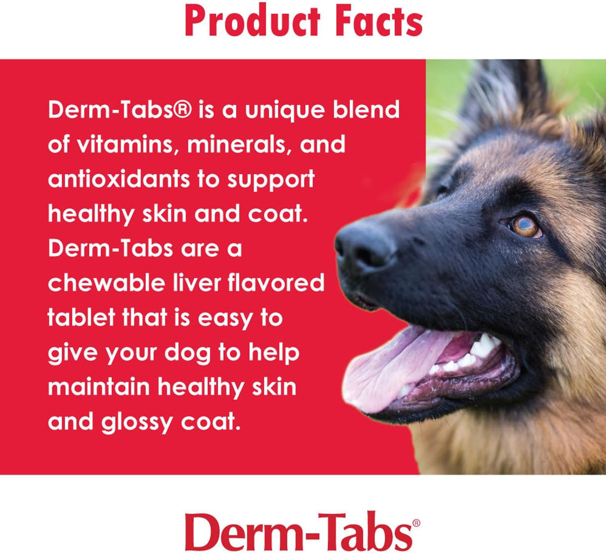 Derm Tabs Regular Strength for Dogs – Natural Oil, Vitamins, Minerals, and Antioxidants – 120 Chewable Tablets - görsel 6