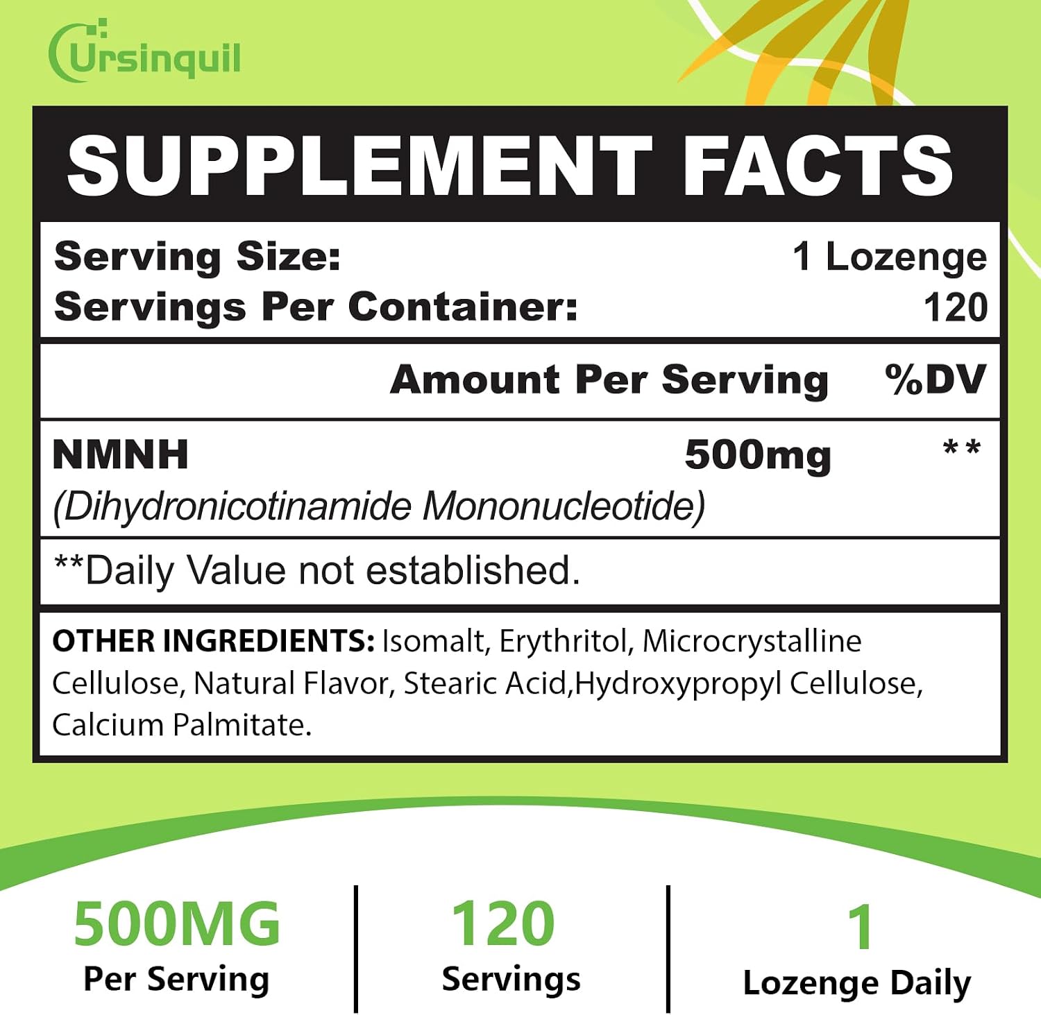 Sublingual NMNH 500mg Lozenges – NAD+ Precursor (120 Lozenges) - görsel 6