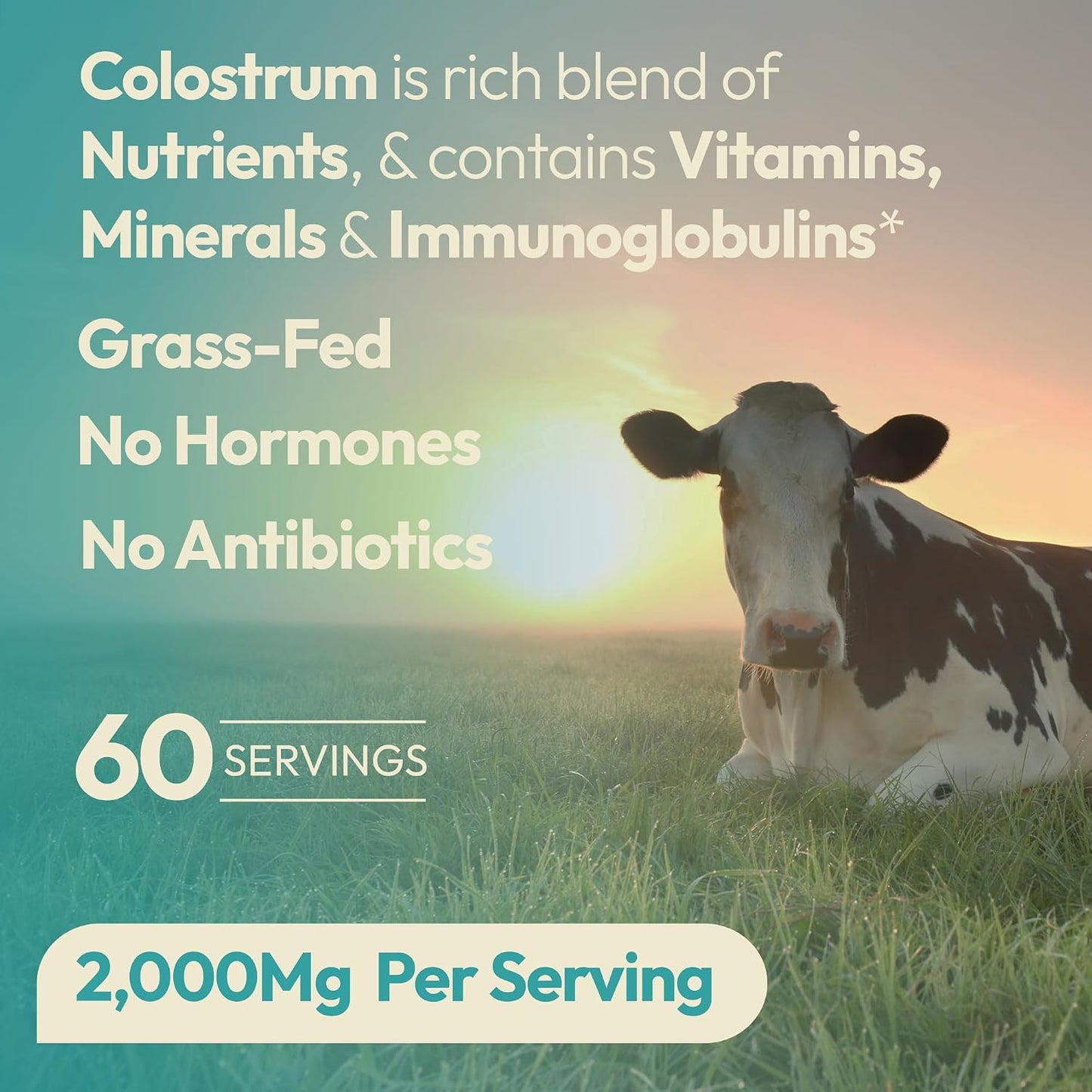 OXNUTRITION Colostrum Powder - Grass-Fed Bovine Colostrum for Gut Health, Immune Support & Muscle Recovery, Unflavoured, 60 Servings - görsel 3