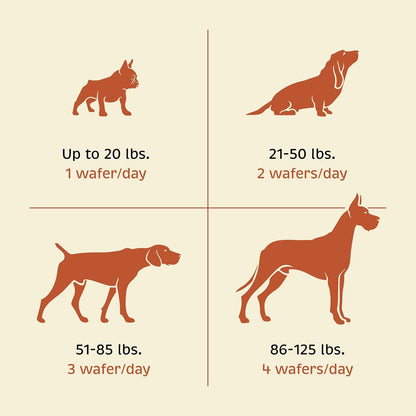Spirited Paw Health + Vitality - Multivitamin Pet Wellness Supplement - Liver-Flavoured Dog Chews - 90 Chews