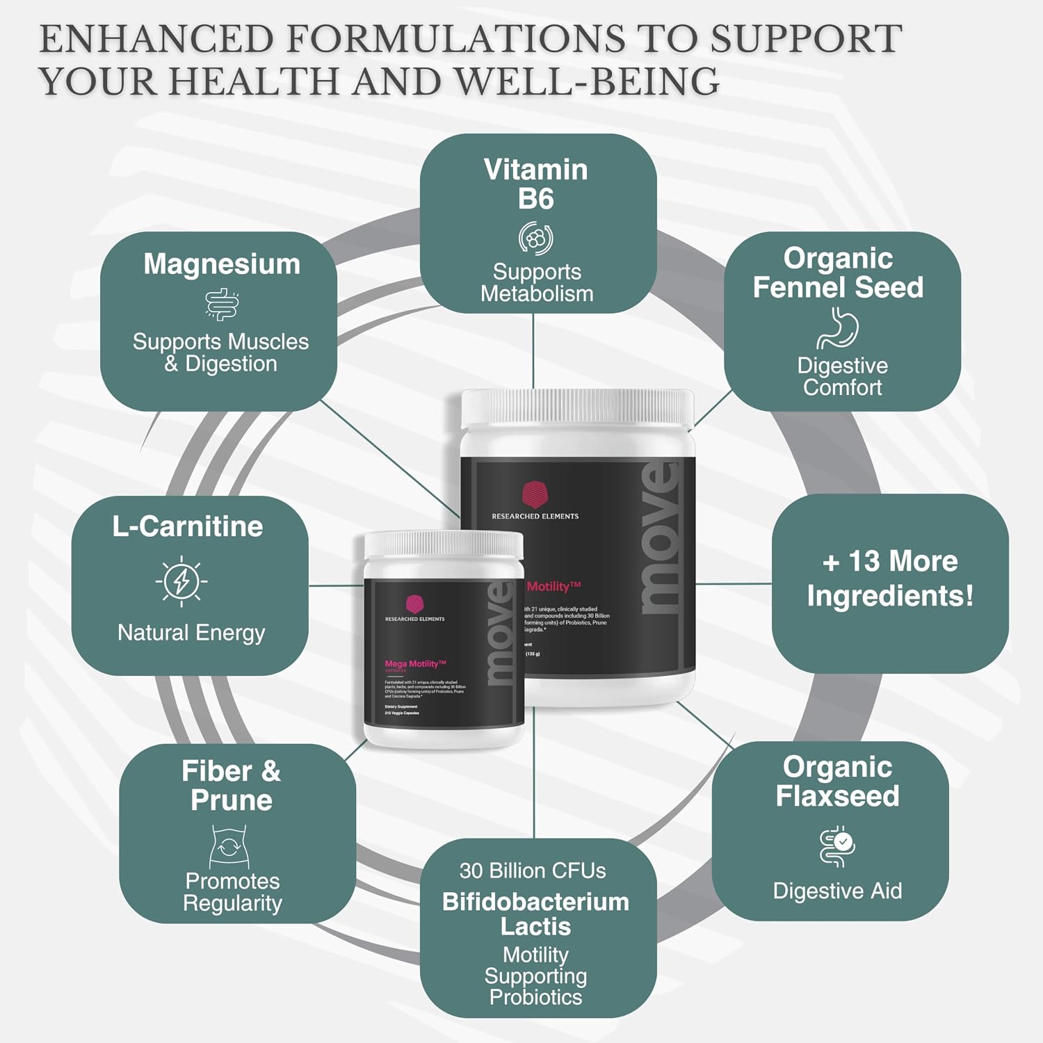 Mega Motility – Digestive Health Supplement for GI Motility – Herbal Prebiotic/Probiotic Powder – 30 Servings - görsel 3