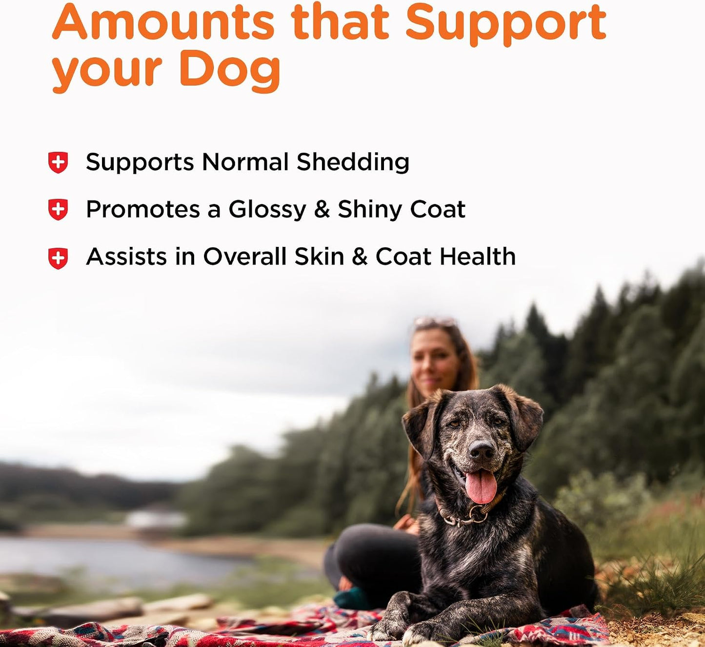 Nutri-Vet Fish Oil Supplement for Dogs – Omega-3 EPA DHA, 100 Softgels - görsel 5