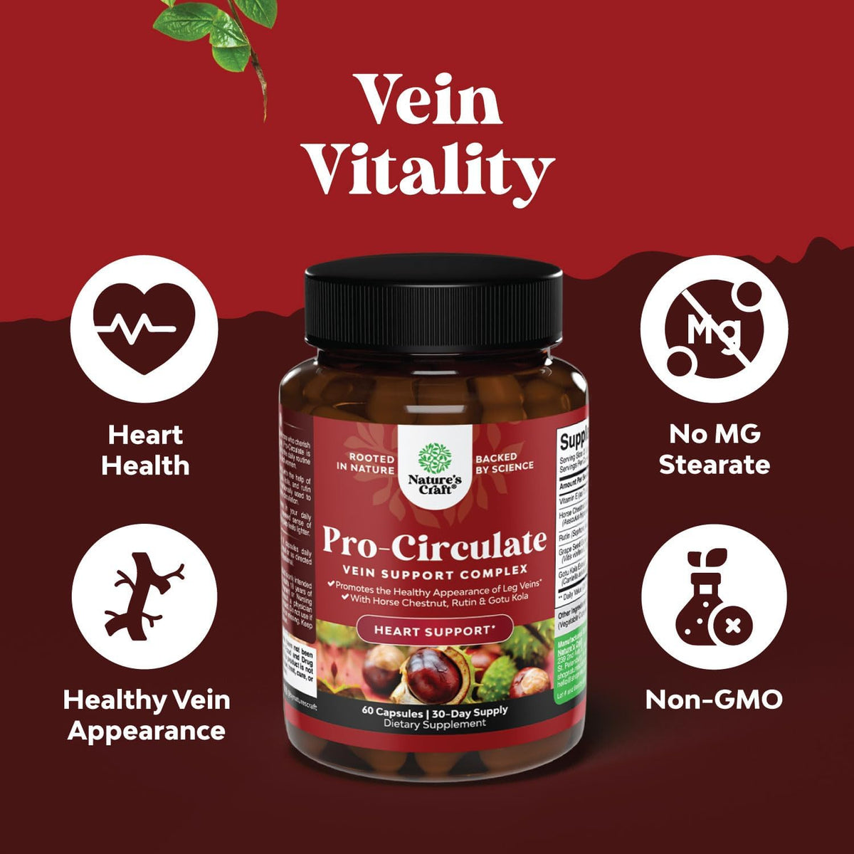 Natures Craft Vein Support Supplement – Horse Chestnut & Botanicals for Leg & Vein Health, Vegan, 60 Capsules - görsel 4