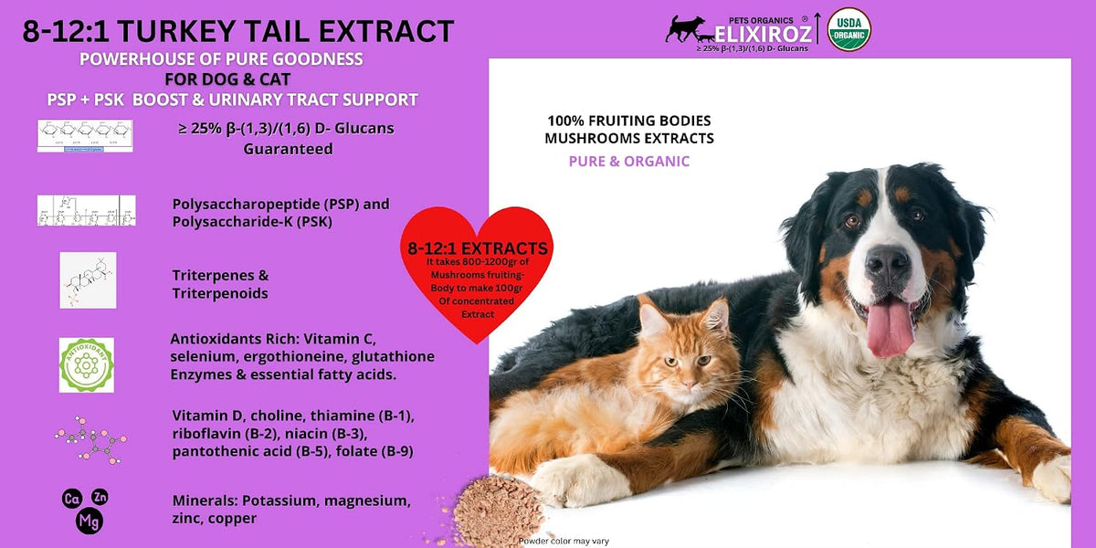 Turkey Tail Mushroom Extract for Dogs & Cats – 25%+ Beta Glucans – Concentrated Fruiting Body Extract (8:1–12:1) – Immune & Gut Support – No Fillers – 250 Servings - görsel 6