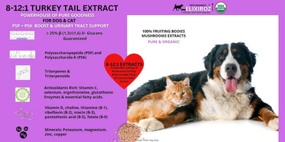 Turkey Tail Mushroom Extract for Dogs & Cats – 25%+ Beta Glucans – Concentrated Fruiting Body Extract (8:1–12:1) – Immune & Gut Support – No Fillers – 250 Servings