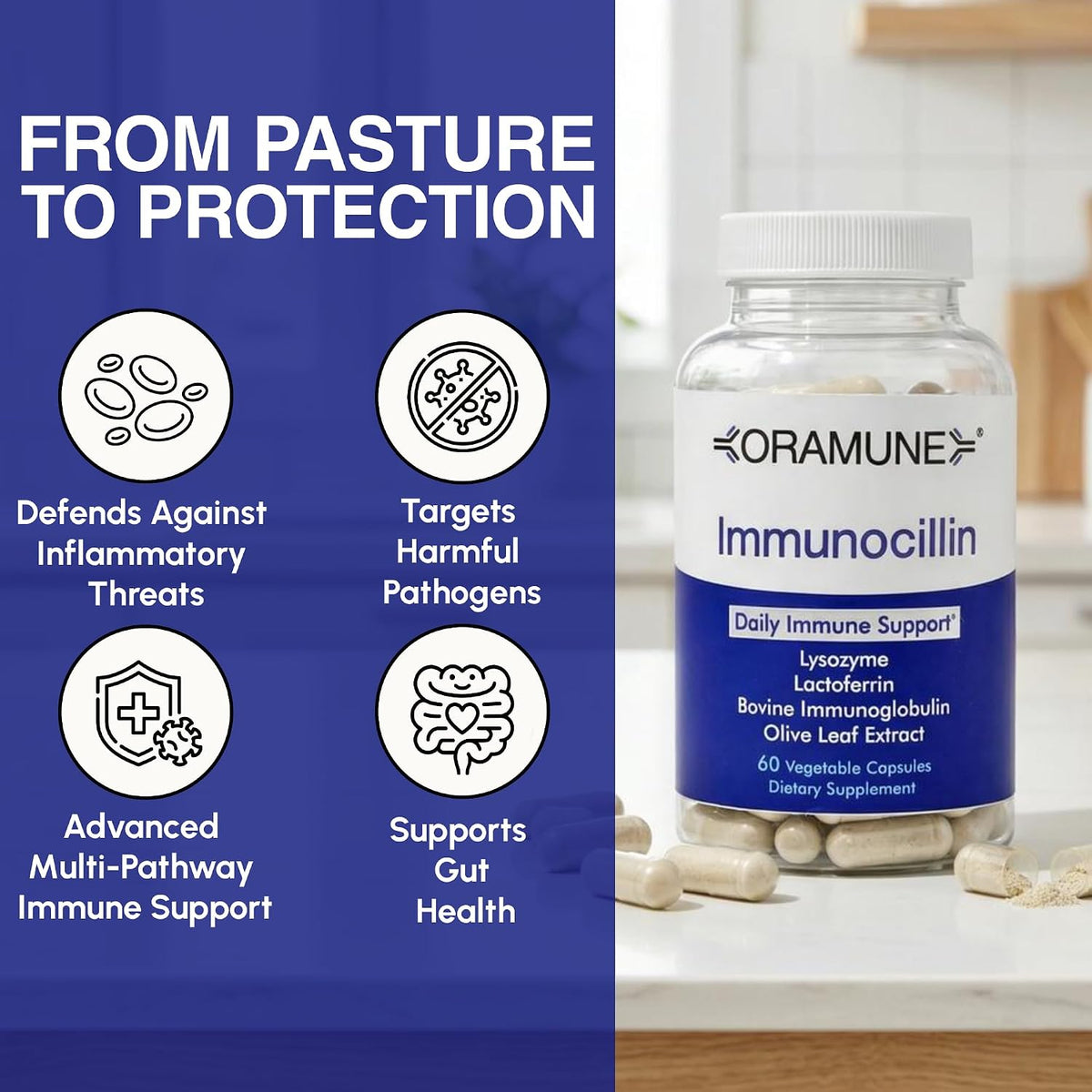 ImmunoCillin Immune Support Supplement with Lactoferrin, Lysozyme, Bovine Immunoglobulin & Olive Leaf Extract – Supports Immune Defence, Promotes Cellular Health for Adults – 60 Capsules - görsel 5