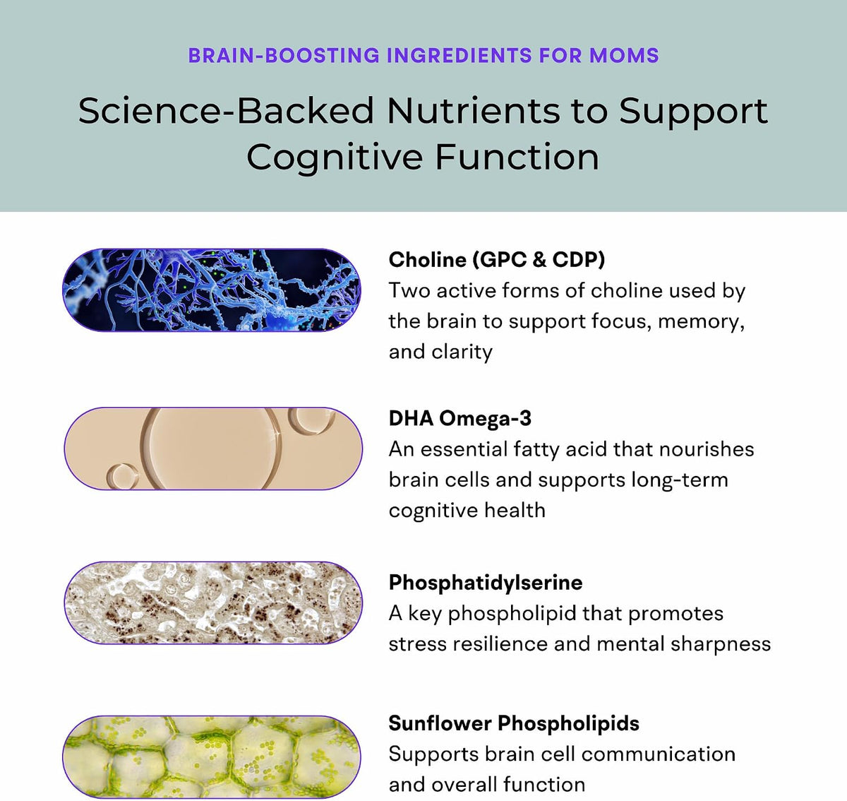VitaminIQ Mummy Brain Postnatal Supplement (60 Capsules) for Cognitive Health, Mood, Energy with GPC and CDP Choline, Phosphatidylserine, Omega-3 DHA - görsel 6