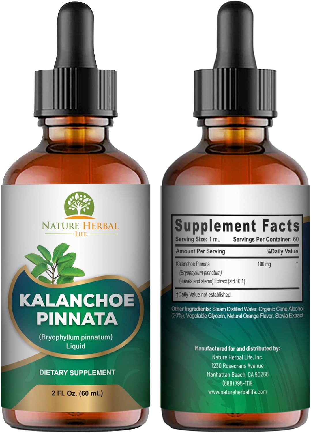 Kalanchoe Pinnata (Bryophyllum Pinnatum) Glycerite, Dried Leaf and Stem Liquid Extract. Herbal Supplement, Antioxidants. 1 Bottle, 2 fl oz (60 ml) - görsel 5
