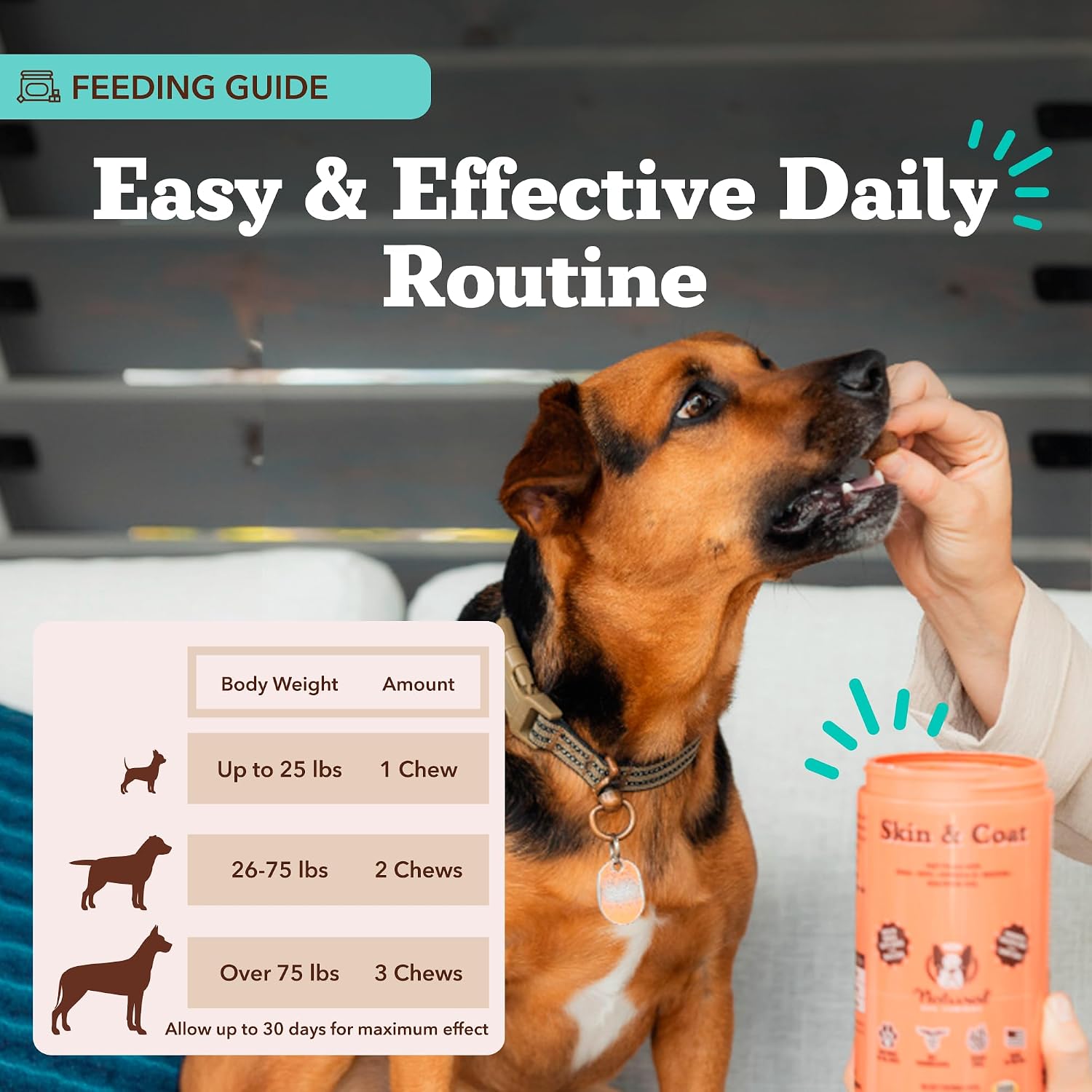 Natural Dog Company Skin & Coat Supplement Chew for Dogs – Omega 3 Salmon Oil, Biotin & Vitamin E, 180 Count - görsel 6