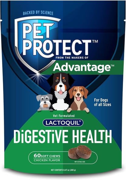 Pet Protect Digestive Health Supplement with Probiotics for Dogs, Vet-Formulated Lactoquil, Chicken-Flavoured Soft Chews (60 Count)