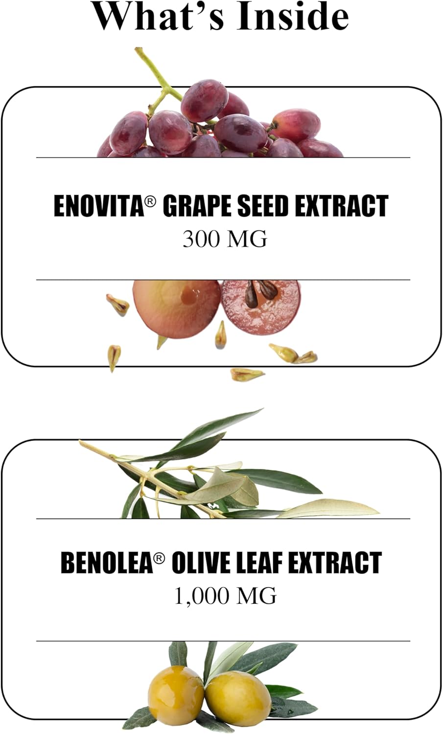 Durable Blood Pressure – Benolea Olive Leaf & Enovita Grape Seed Extract – Normal Circulation, Nitric Oxide & Artery Support – Doctor-Formulated, Vegan, Non-GMO, Made in USA (180 Capsules) - görsel 5