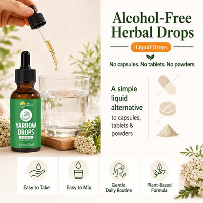 KingHealth Organic Yarrow Herb Tincture – Alcohol-Free Achillea Millefolium Extract for Women – 30 ml