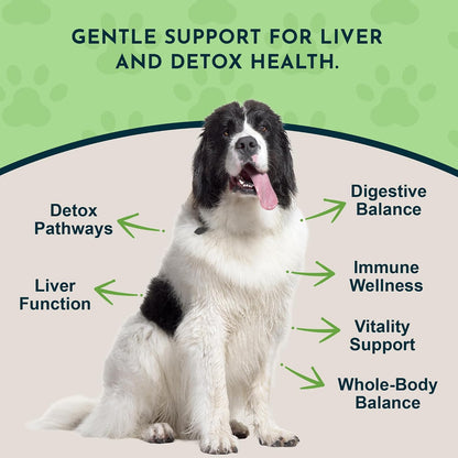 Milk Thistle for Dogs & Cats - Liver Support Supplement, 150mg, 30 Capsules