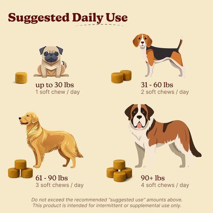 Furevery 11-in-1 Dog Multivitamin Chews – Chicken Flavour, Supports Immune, Joint, Coat, Heart & Energy – 60 Chews