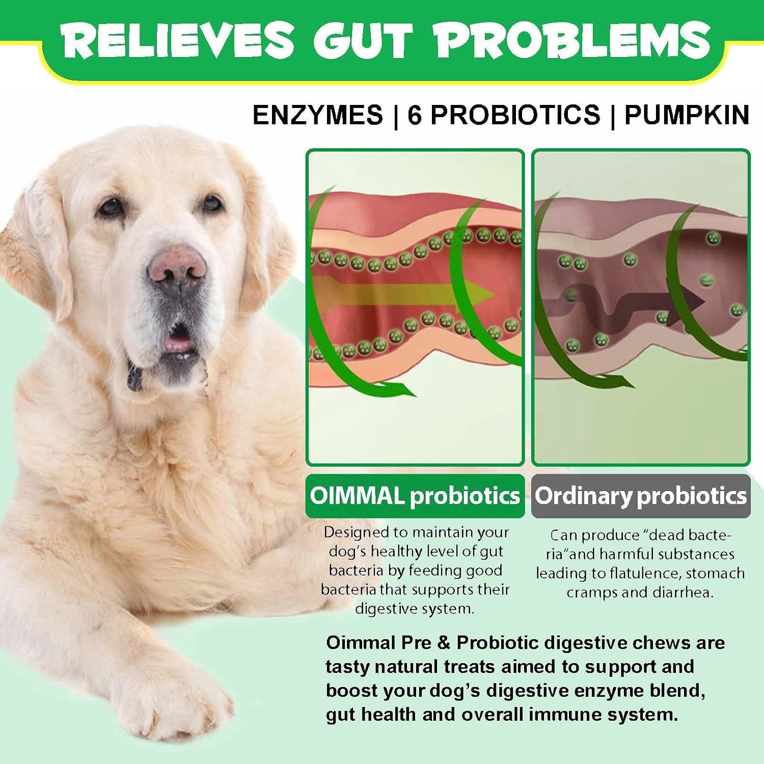 Probiotics for Dogs - 120 Soft Chews - Digestive & Immune Support with Prebiotics & Enzymes - Duck Flavour - görsel 6