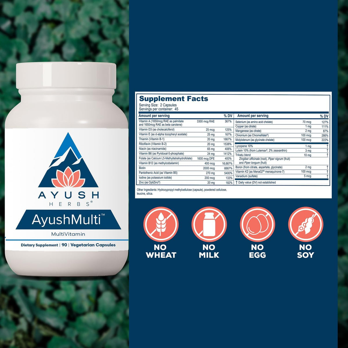 Ayush Herbs Ayush Multi - Multivitamin with Iodine & Zinc for Men & Women, 90 Capsules - görsel 3