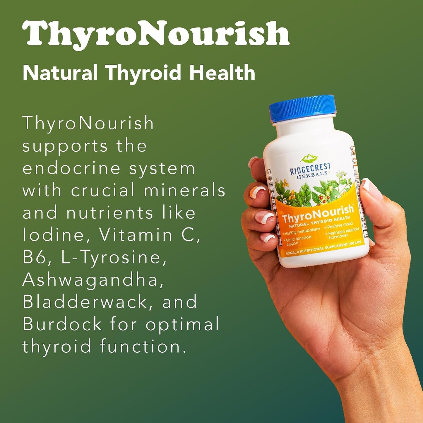 Ridgecrest Herbals ThyroNourish — Thyroid Support Supplement with Ashwagandha, L-Tyrosine, Iodine, Copper, Kelp (60 Capsules) - görsel 5