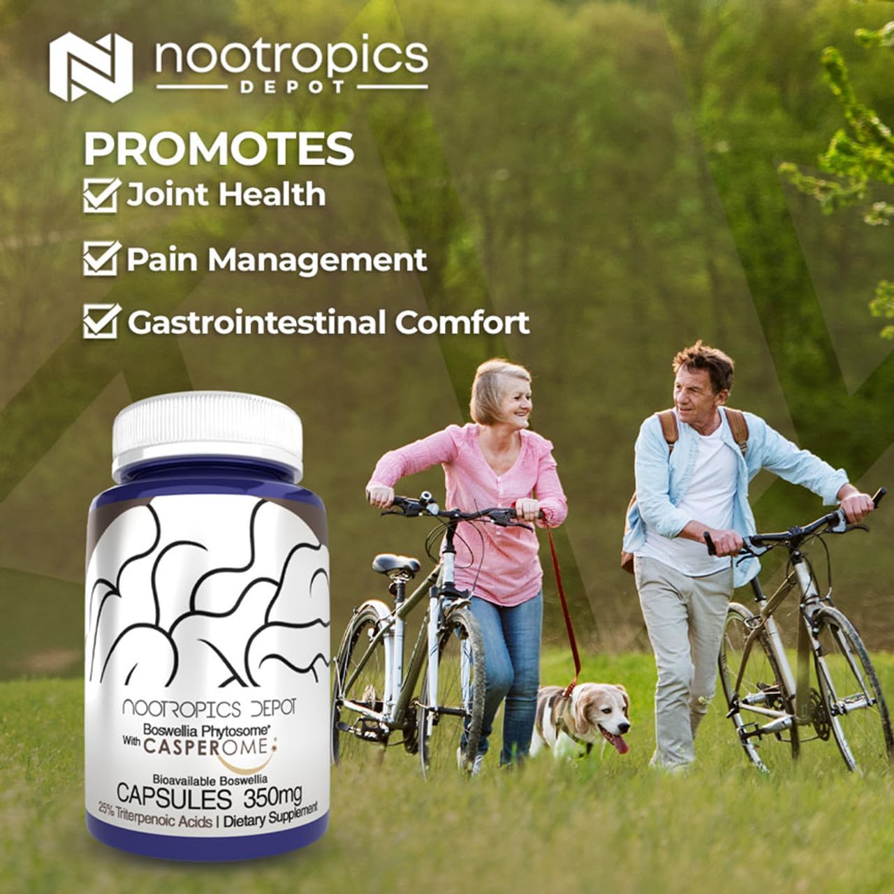 Nootropics Depot Boswellia Phytosome Capsules | 350mg | Casperome | 25% Triterpenoic Acids | Joint Health Support - görsel 3