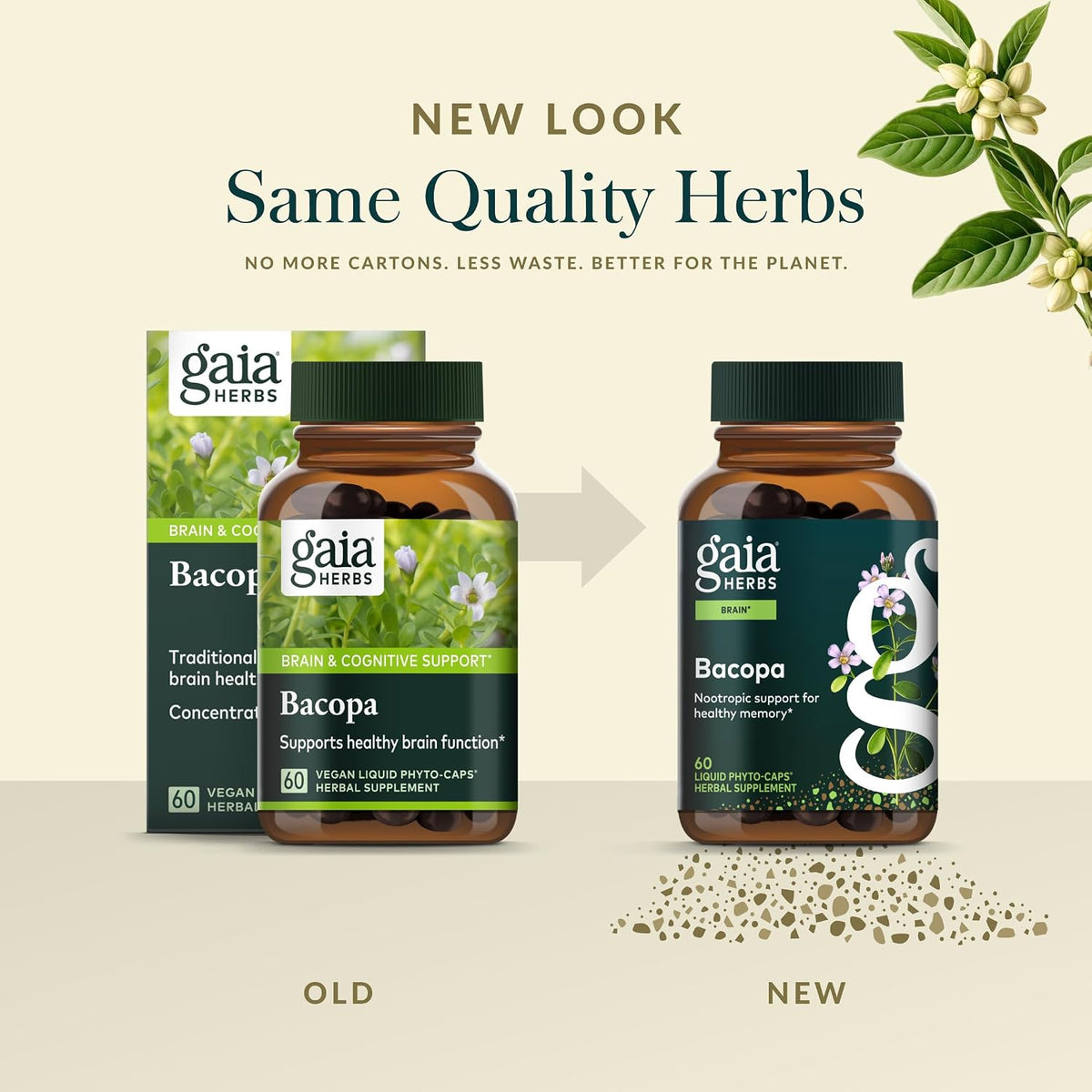 Gaia Herbs Bacopa – Brain & Cognitive Support Herbal Supplement - görsel 6